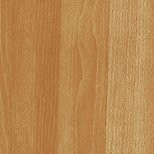 Woods11