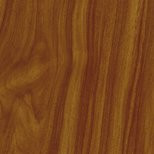 Woods9